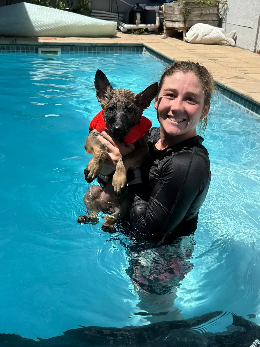 Dog swimming lessons